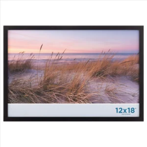 12"x18" Picture Poster Frame
